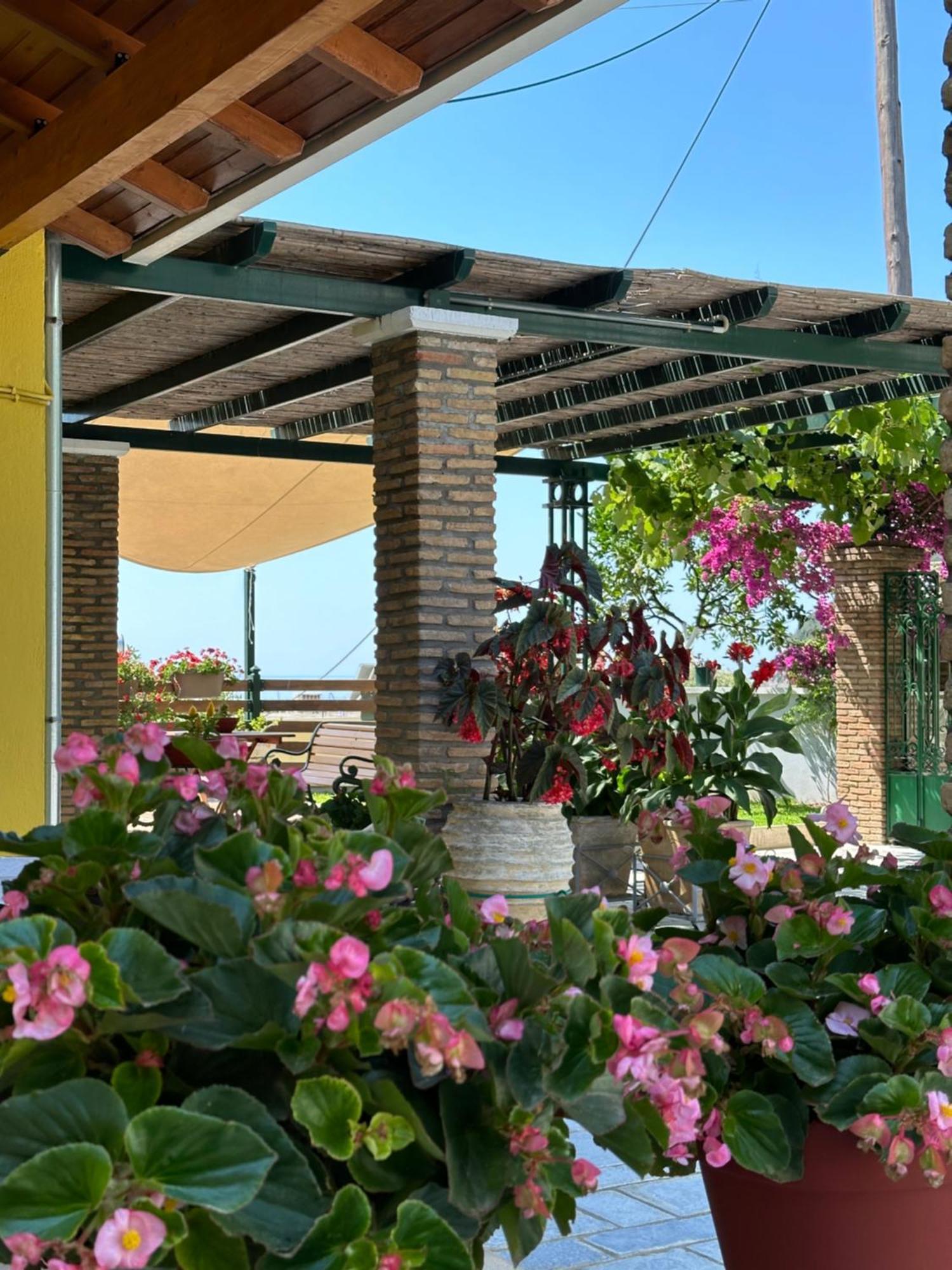 Villa Sofia Parga Exterior photo